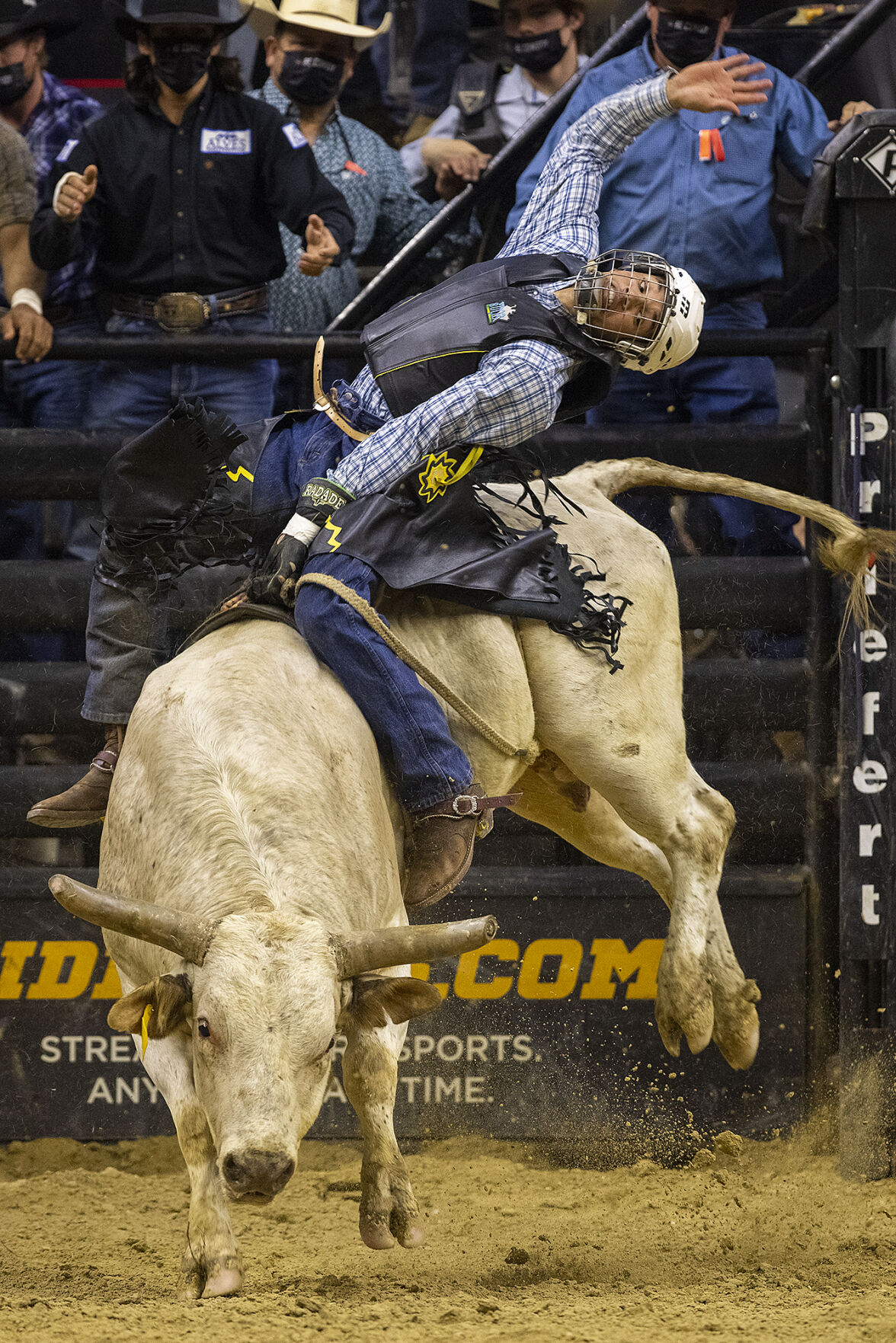 Bull riding